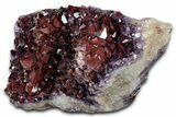 Thunder Bay Amethyst Cluster with Hematite - Top Quality! #337158-3
